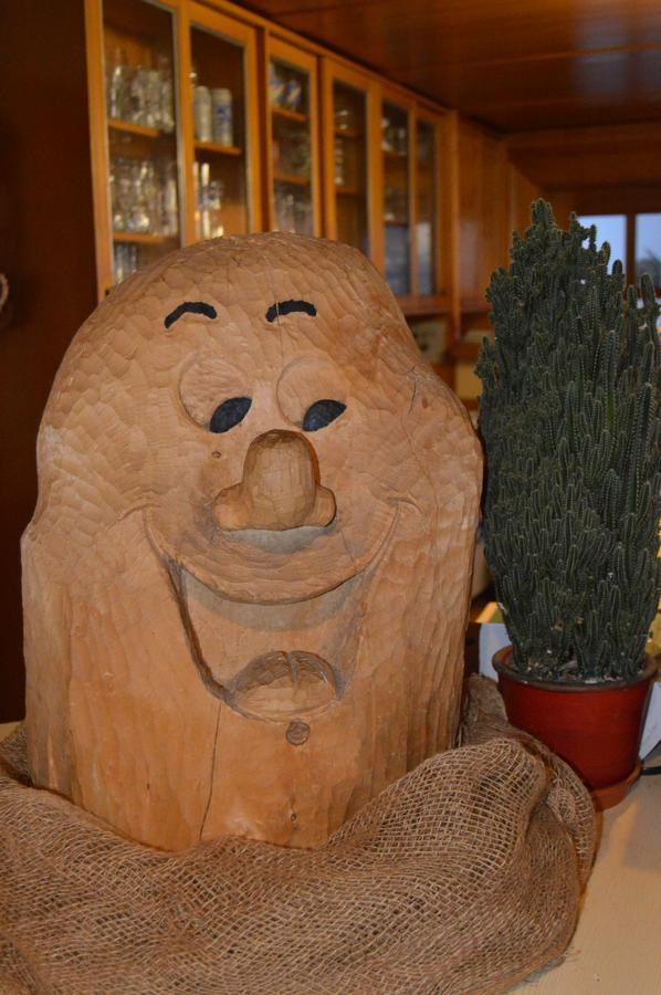 Gasthof Zahler Rofingen Bagian luar foto